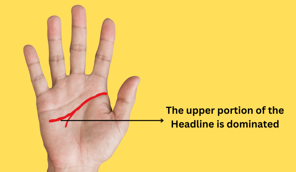 meaning of Split Head Line-dominated upper part