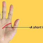 what does a short head line mean