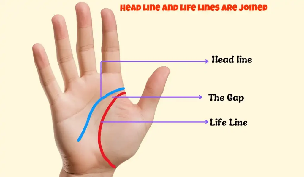 life line and head line are not joined