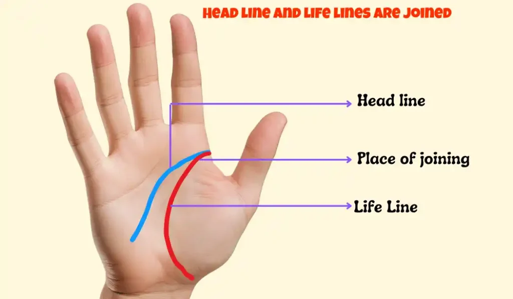 head line and life line are joined