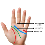 female hand love marriage sign in palmistry