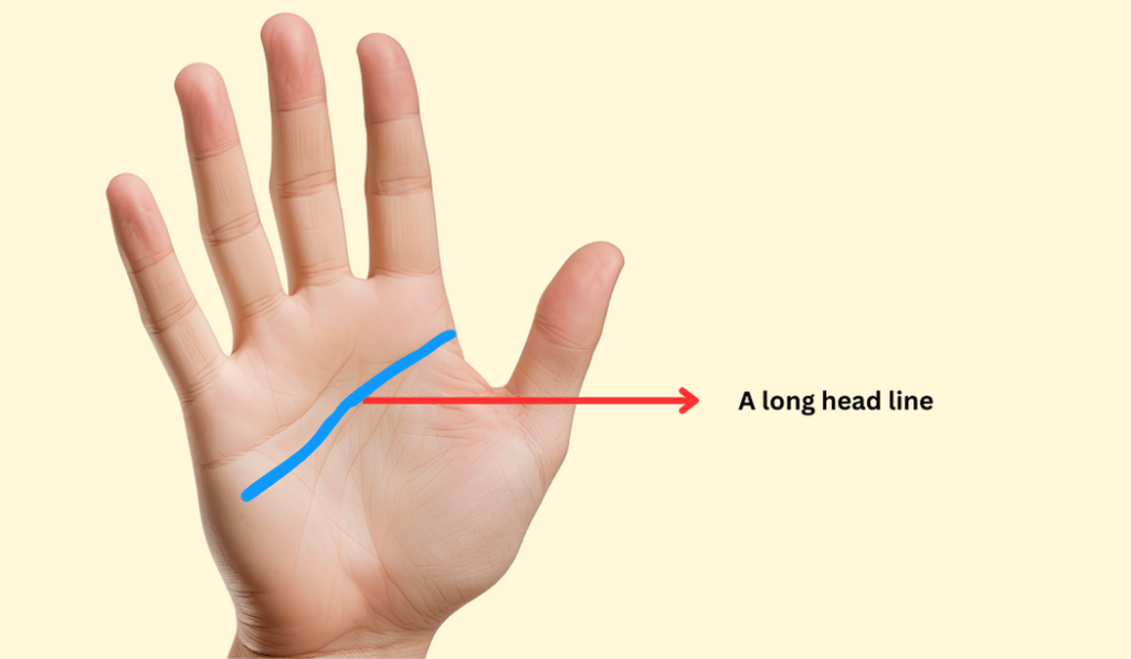 Long Head line in Palmistry Prediction