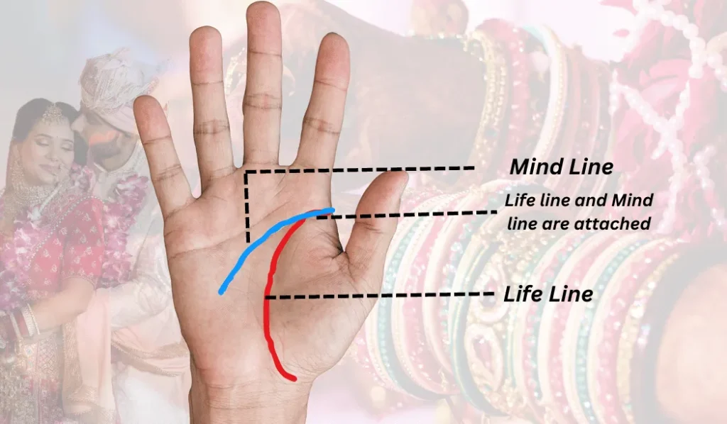 Prediction of love or arrange marriage palmistry life line