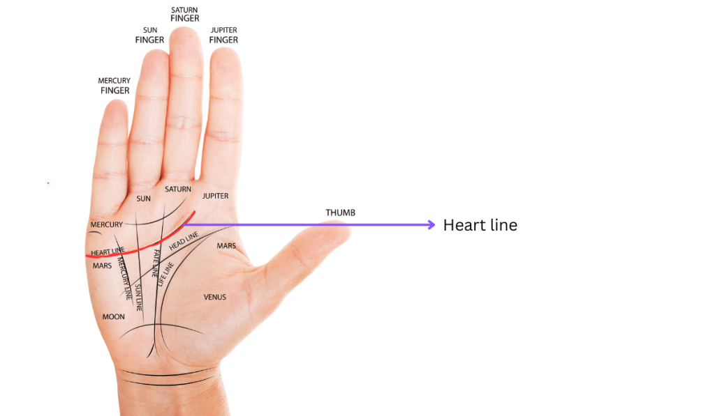 love or arrange marriage palmistry
