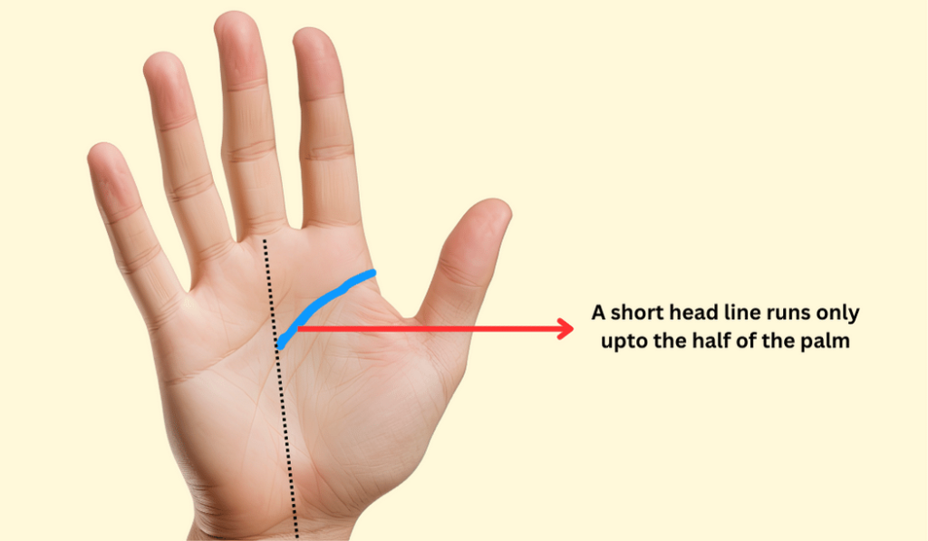 Short Head Line in Palmistry Prediction